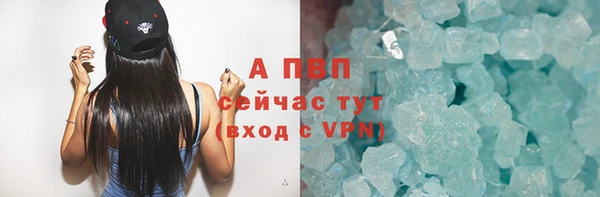 крисы Абаза