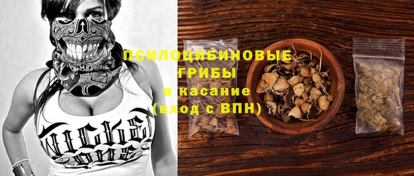 индика Покачи