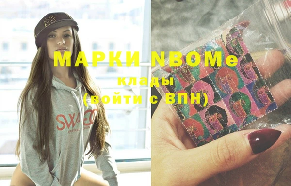 индика Покачи