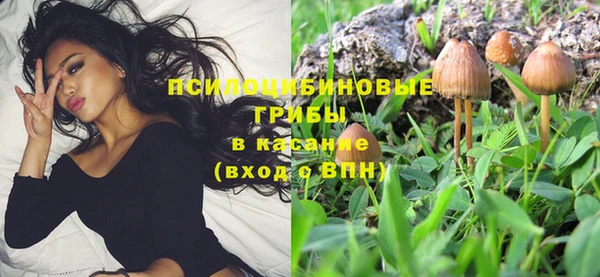 МДПВ Покровск