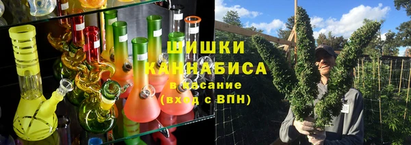 индика Покачи