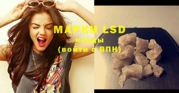 индика Покачи