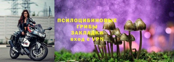 Альфа ПВП Покров