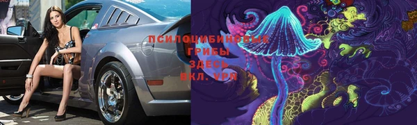 Альфа ПВП Покров