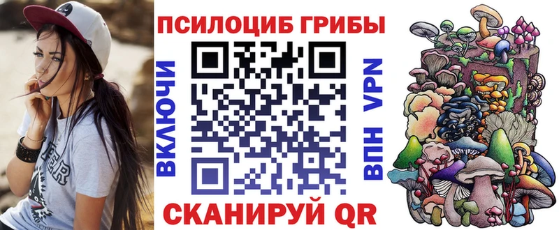 Галлюциногенные грибы GOLDEN TEACHER  наркотики  Подпорожье 